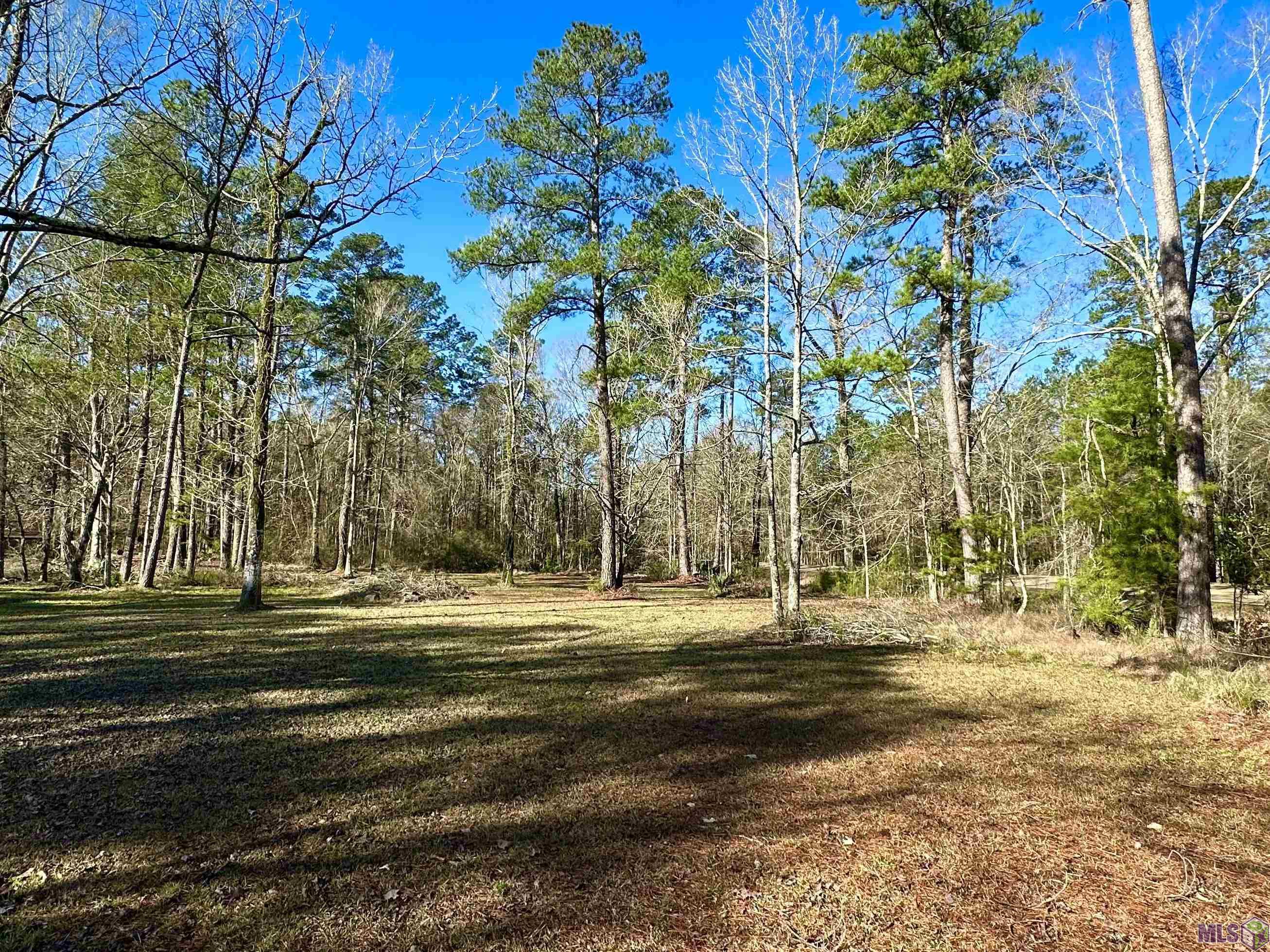 B-3-b-4 Perkins Road Denham Springs, LA 70706 - Photo 2 of 4 Gallery Image 2
