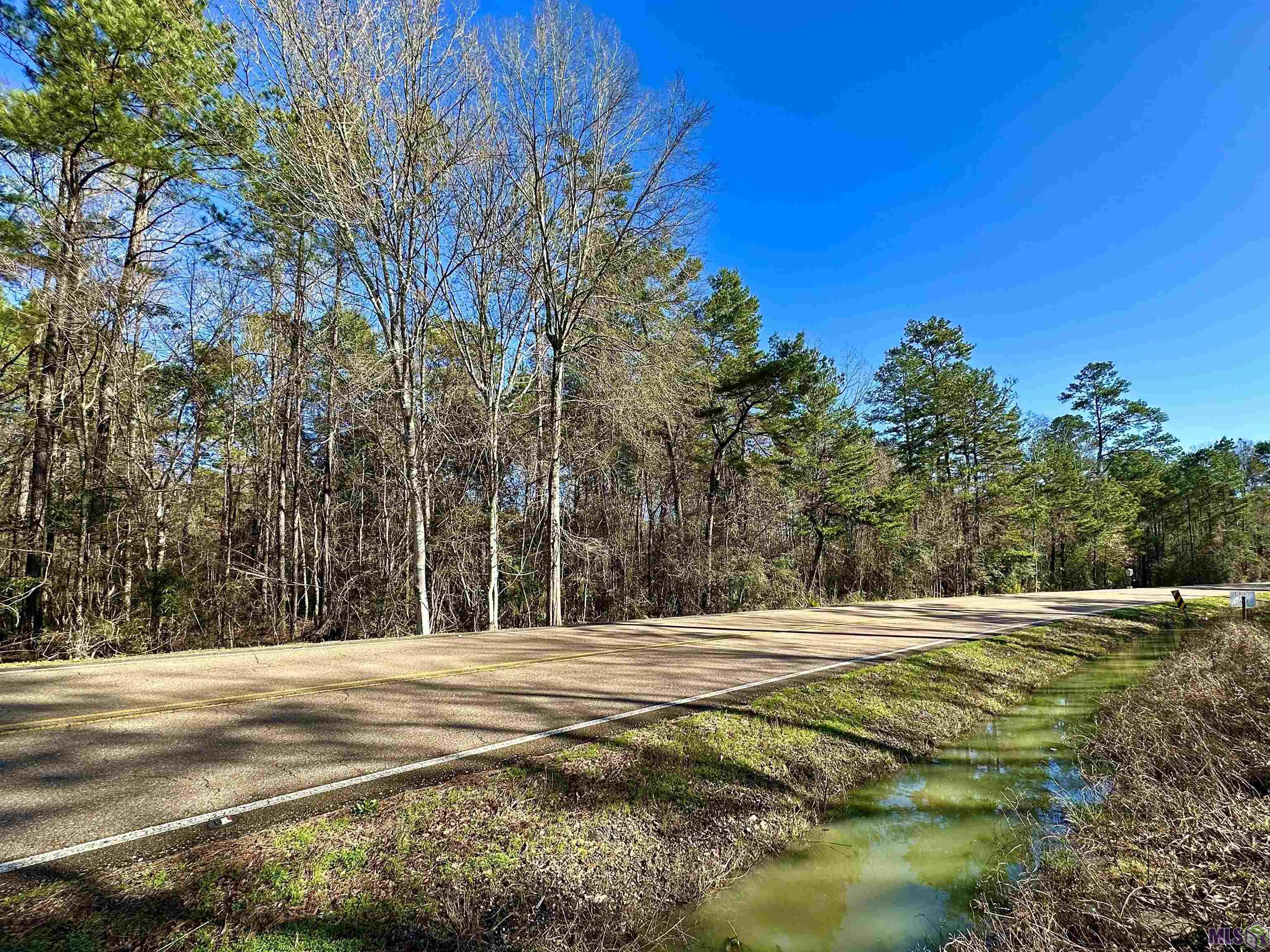 B-3-b-4 Perkins Road Denham Springs, LA 70706 - Photo 3 of 4 Gallery Image 3