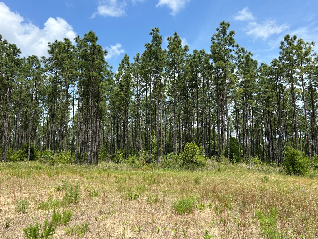 10907-44 -ac) Cty Road Hartford, AL 36344 - Photo 35 of 52