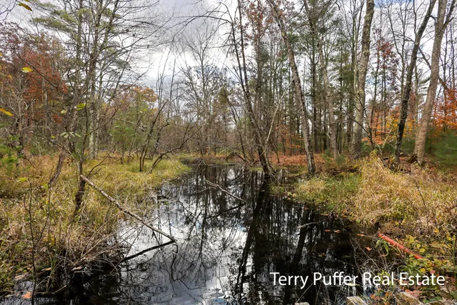 $599,000 | 23763 11 Mile Road, Big Rapids, MI 49307