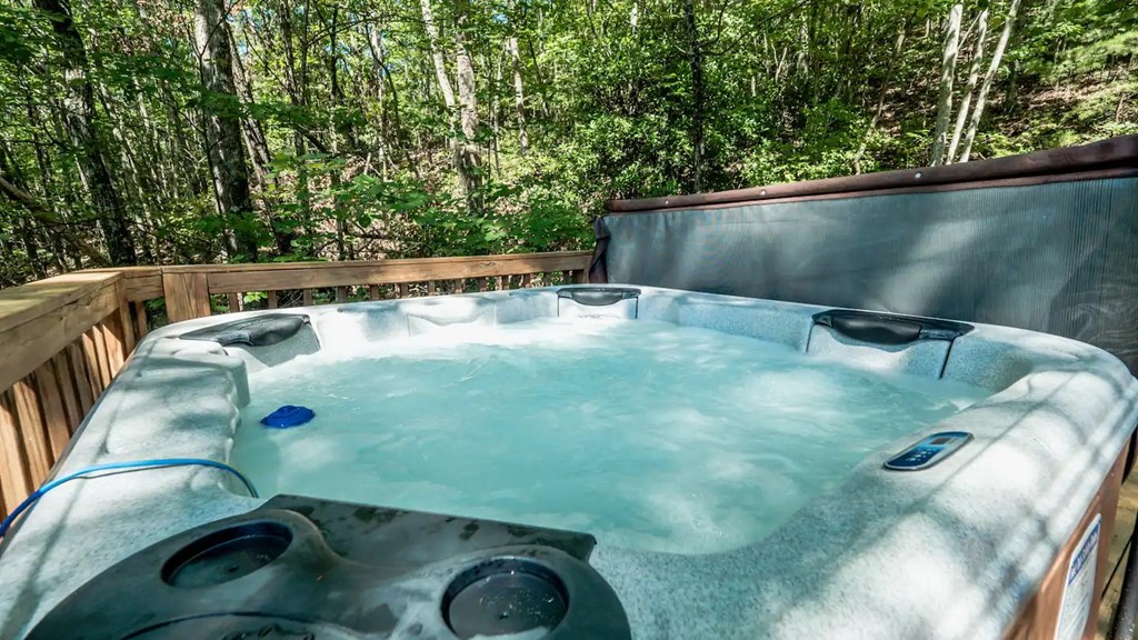 587 Lower Prince Mountain Road Cherry Log, GA 30522 - Photo 15 of 15