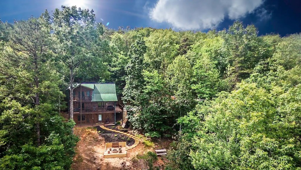 587 Lower Prince Mountain Road Cherry Log, GA 30522 - Photo 4 of 15