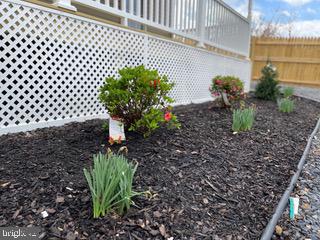 489 Myers Road Berkeley Springs, WV 25411 - Photo 8 of 26 Garden is ready for new home owner!