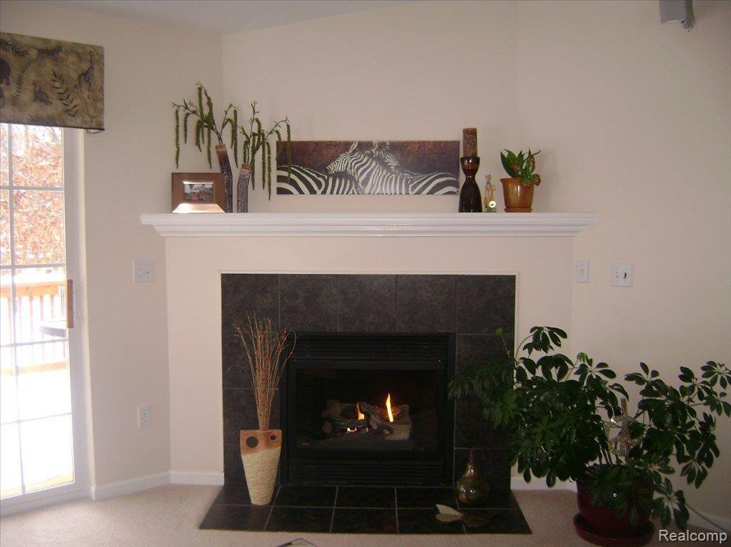283 Wood Point, Unit 20 Howell, MI 48843 - Photo 7 of 22 gas fireplace
