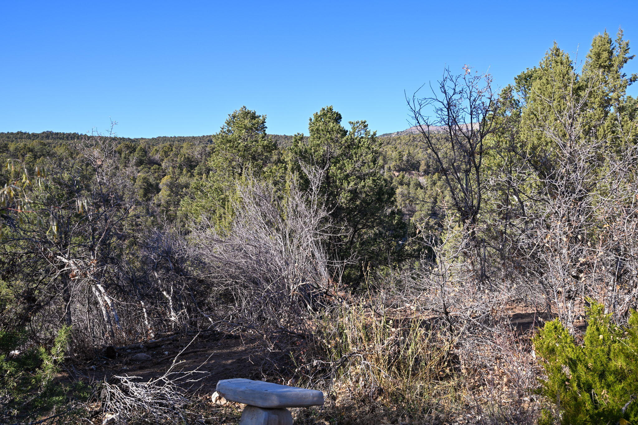 6 South N Frk Road, Unit SERIES 4) Orderville, UT 84758 - Photo 39 of 79 15-web-or-mls- S North Fork Rd. Ordervil