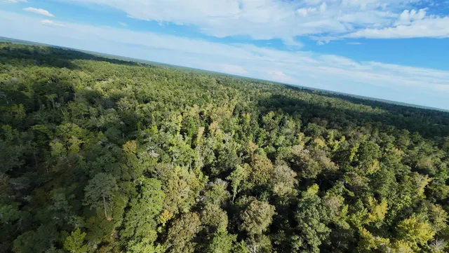 $120,000 | 270 Northwest County Road 270 Road, Bristol, FL 32321