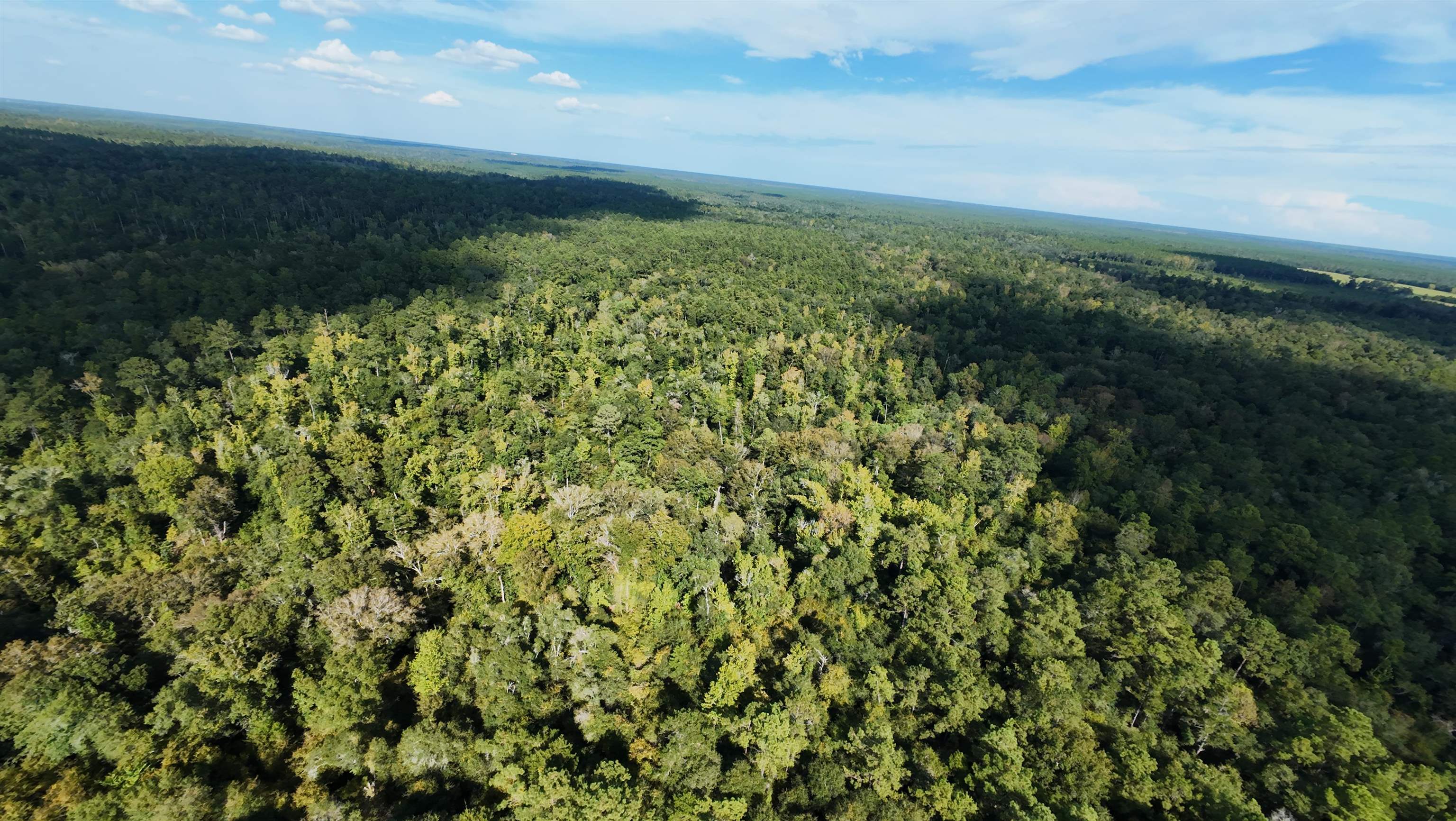 270 Northwest County Road 270 Road Bristol, FL 32321 - Photo 4 of 6