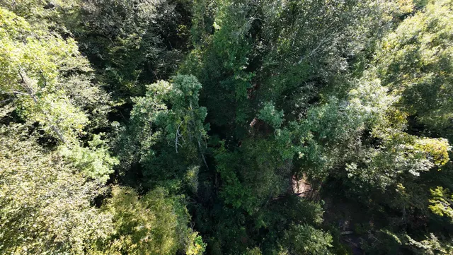 $120,000 | 270 Northwest County Road 270 Road, Bristol, FL 32321