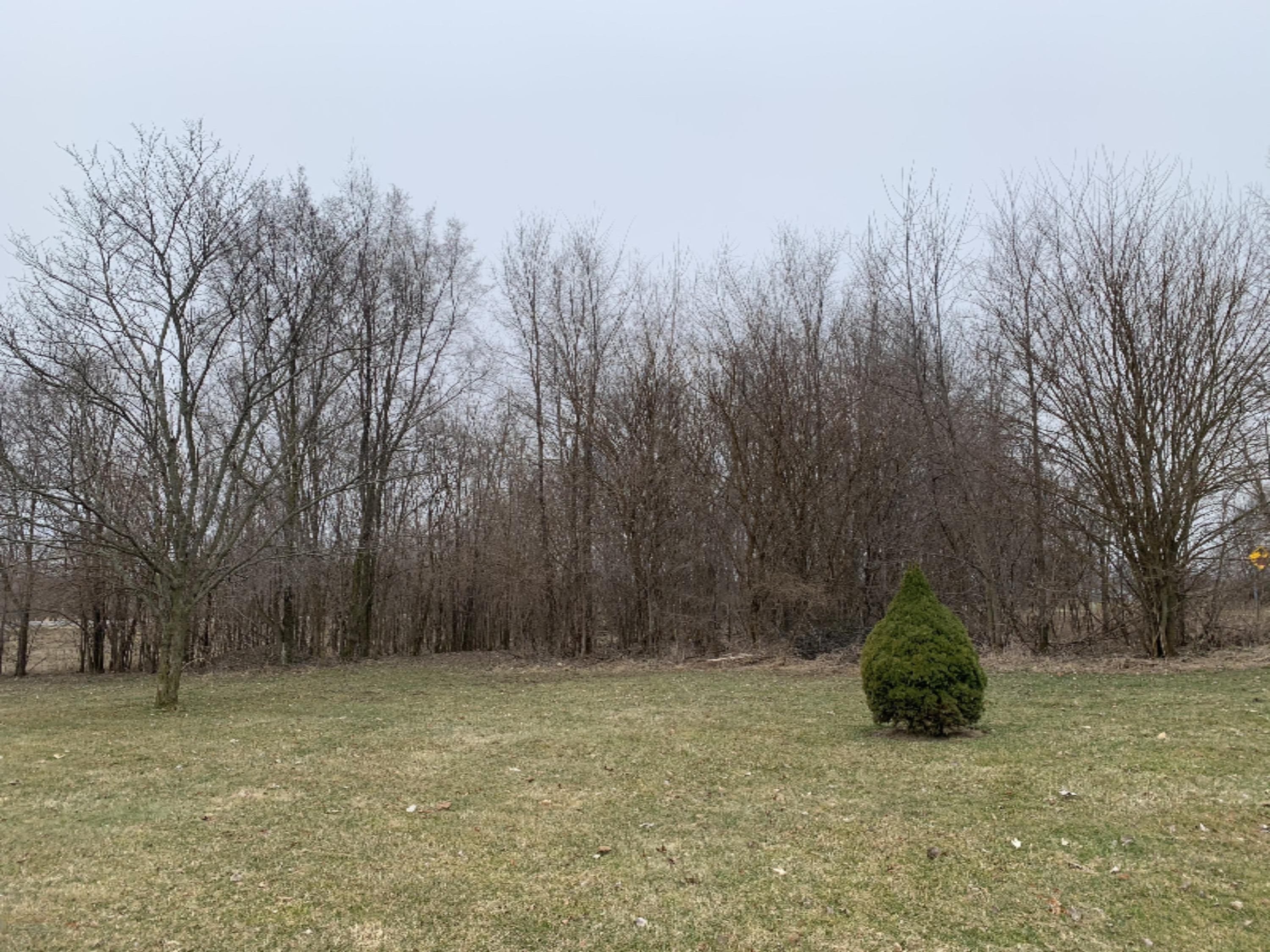 1025 Weaver Road Bronson, MI 49028 - Photo 43 of 46 4F6C64A5-5725-4EEC-B0F5-6325D96ED0C0