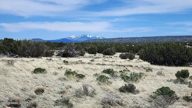 a view of a snow on a beach