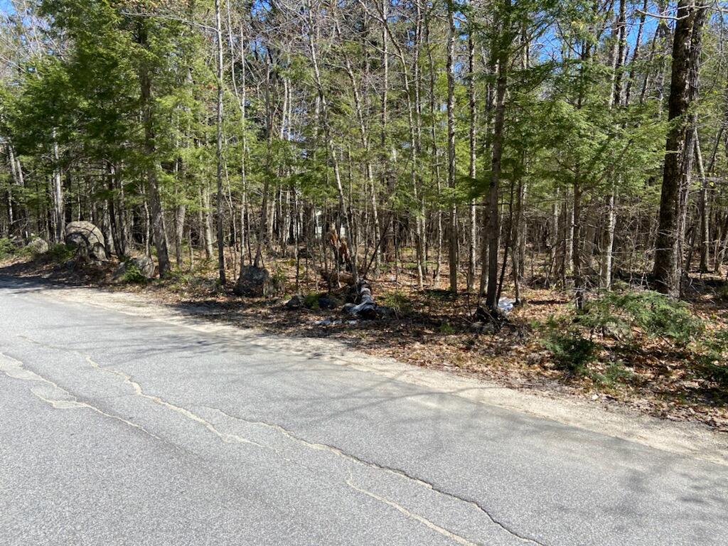 0 Highland Pines Road Bridgton, ME 04009 - Photo 3 of 10 IMG_4234