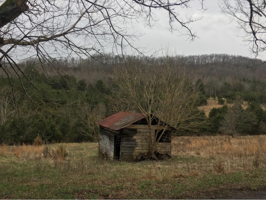 951 Gravely Valley Road Eidson, TN 37731 - Photo 3 of 16 Photo 3