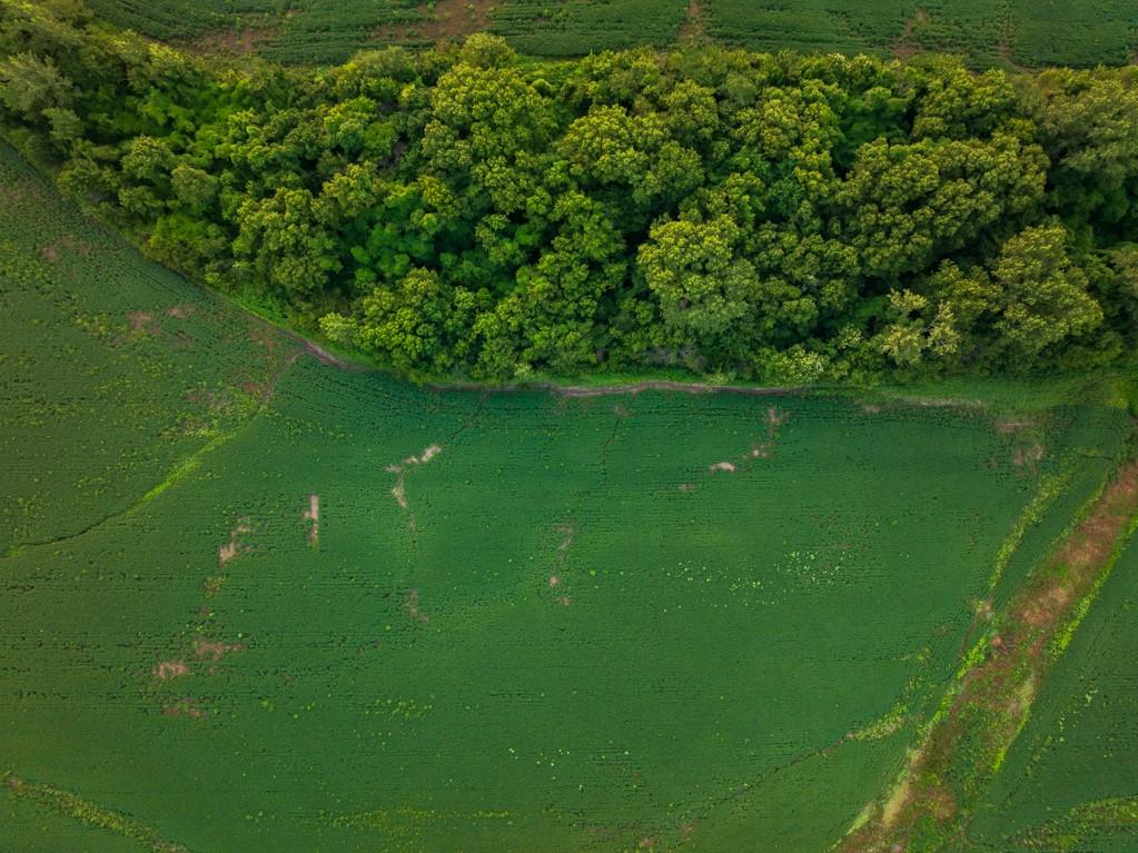 Tbd Southwest 1300 Road Chilhowee, MO 64733 - Photo 27 of 67 Gallery Image 27