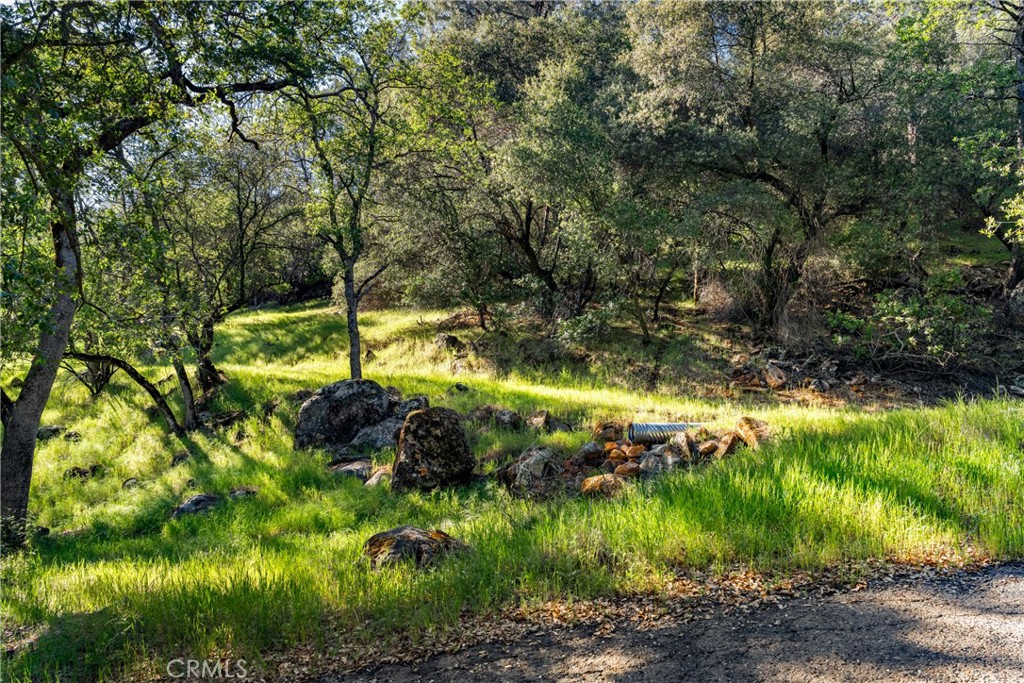 0 Iron Mine Road Auburn, CA 95602 - Photo 14 of 31 Gallery Image 14