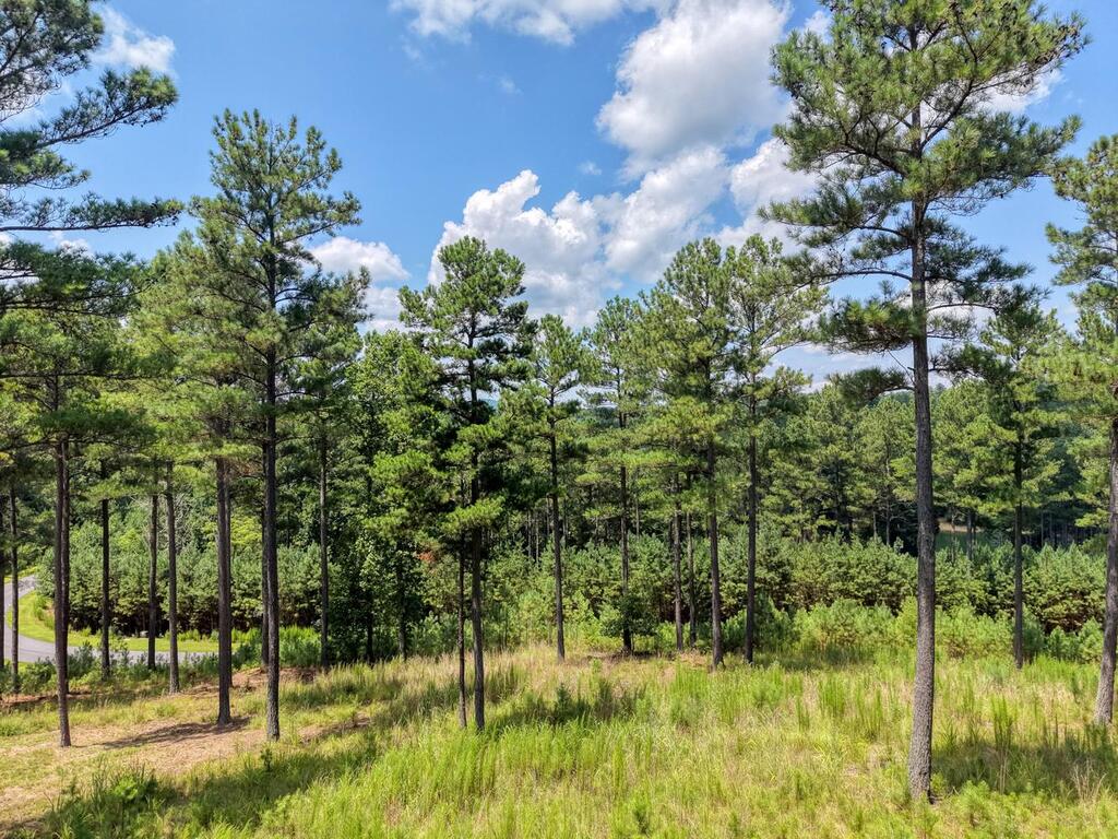 Lot 348 Loop Rise Blairsville, GA 30512 - Photo 19 of 30 Gallery Image 19