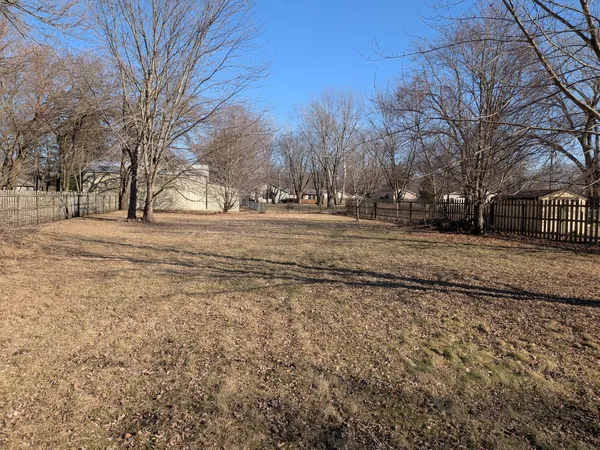 a view of empty yard with trees