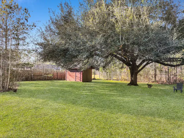 a tall tree in middle of green field