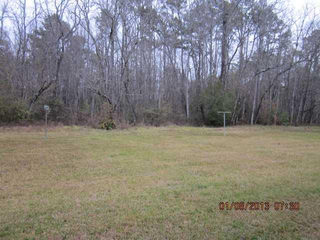 25031 Blood River Road Springfield, LA 70462 - Photo 17 of 17