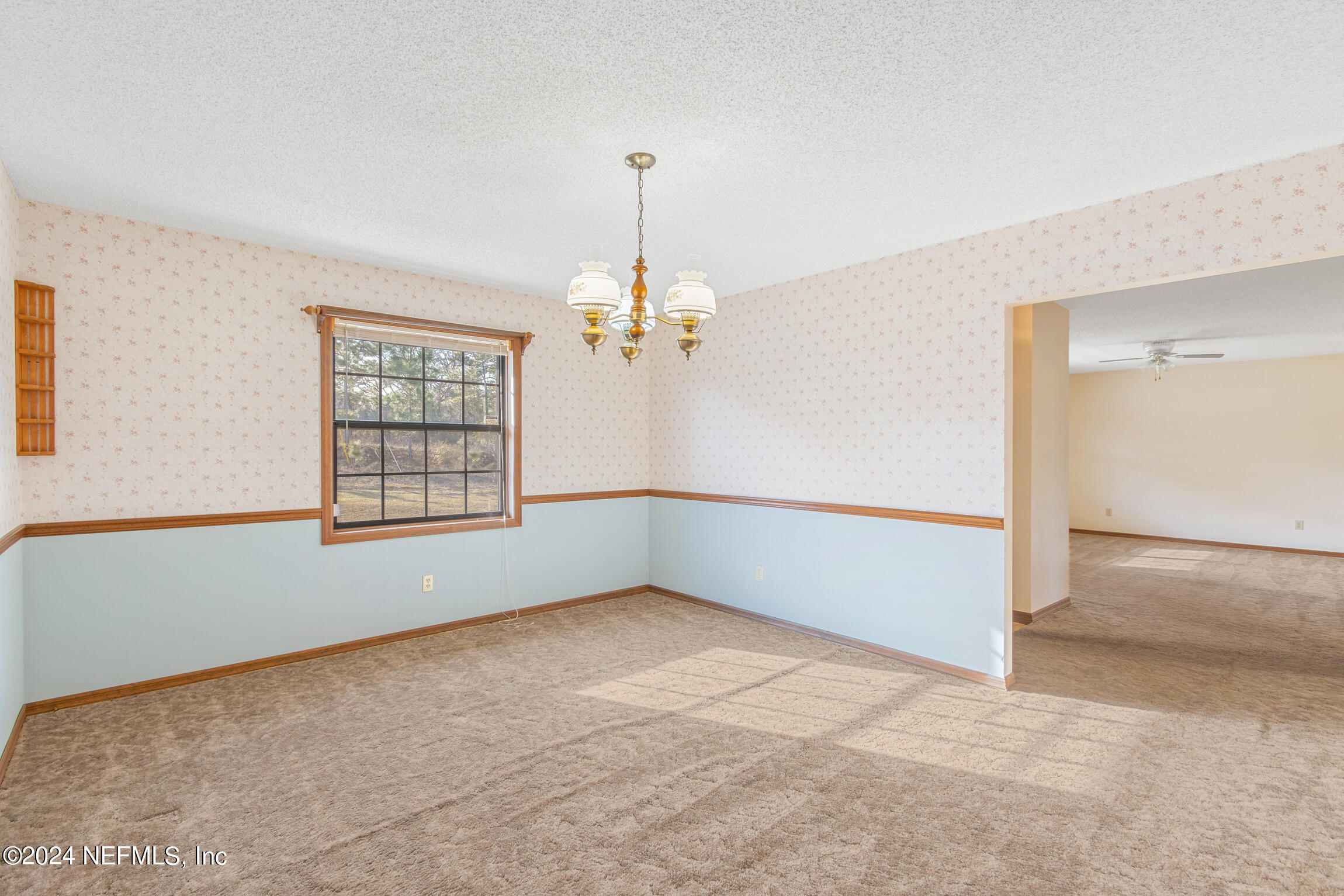308 Rustic Road Satsuma, FL 32189 - Photo 11 of 43 308 Rustic Rd - WebSized-5