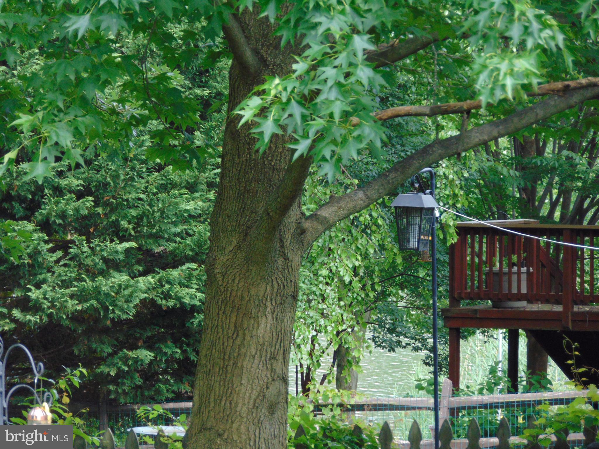 12 Woody Road Baltimore, MD 21221 - Photo 19 of 19 Peek Between the Trees & YES...WATERVIEW!
