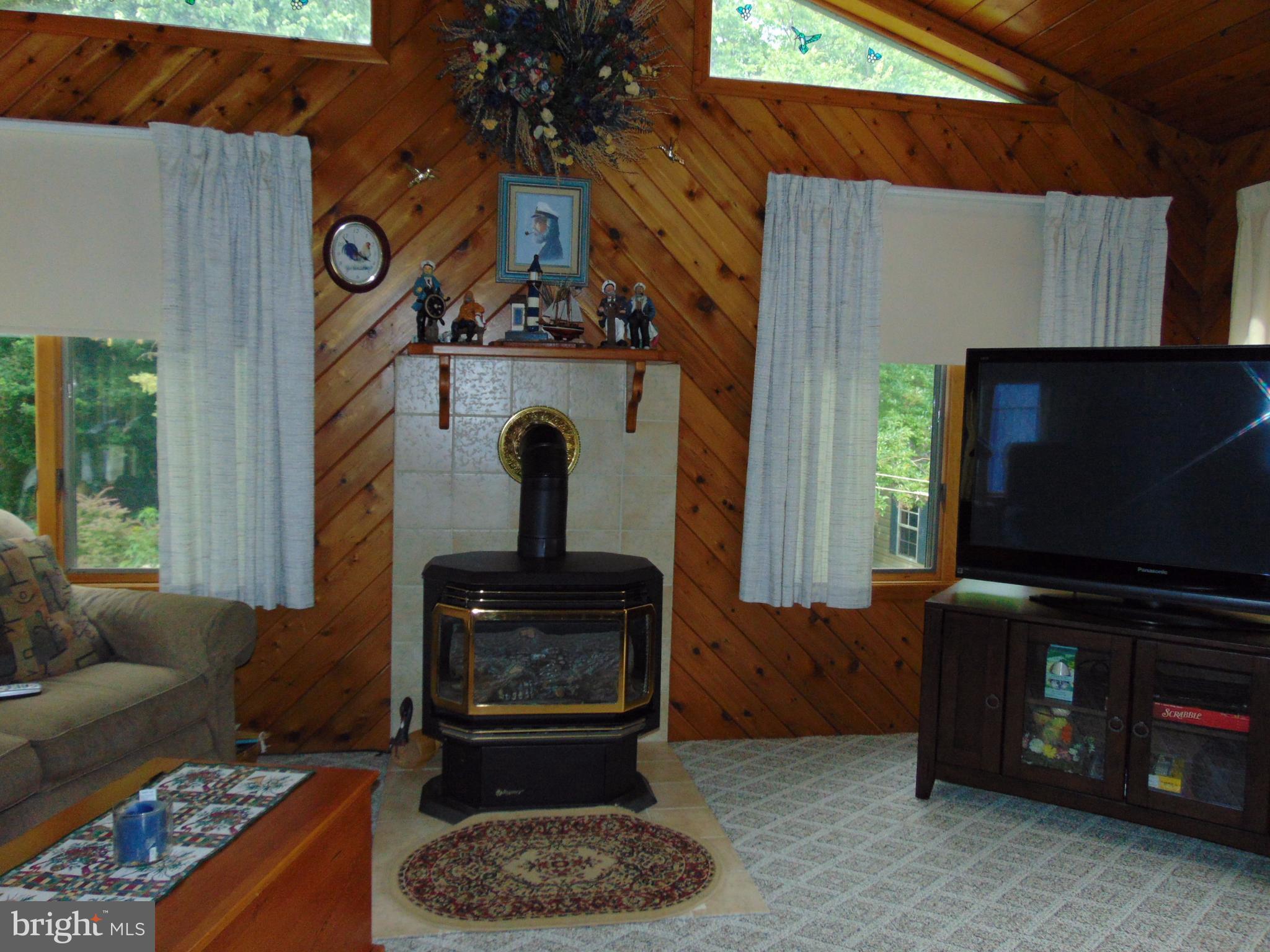 12 Woody Road Baltimore, MD 21221 - Photo 6 of 19 Cedar Walls Cathedral Ceiling Skylights
