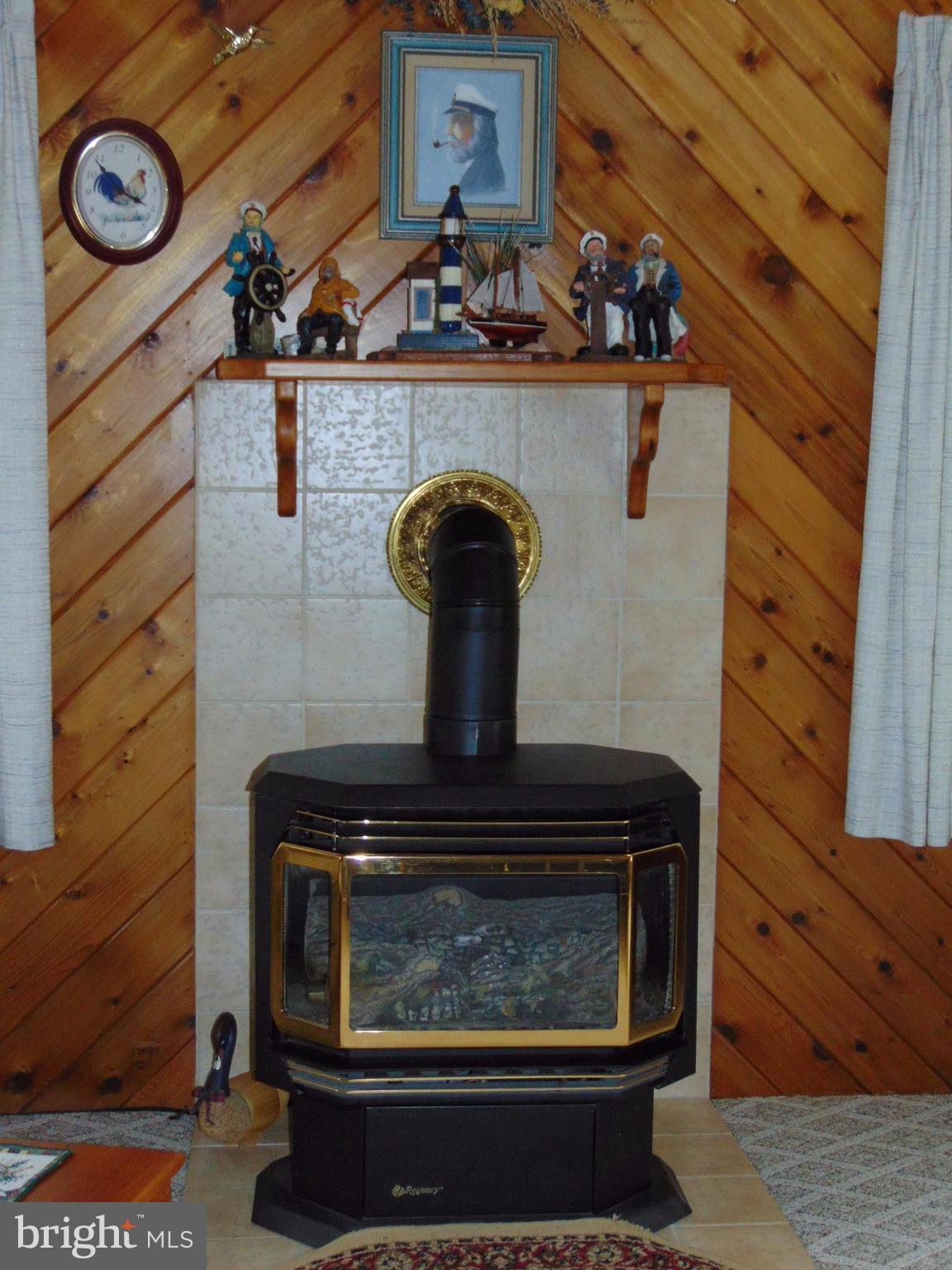 12 Woody Road Baltimore, MD 21221 - Photo 7 of 19 Gas Stove (Fueled by Propane)