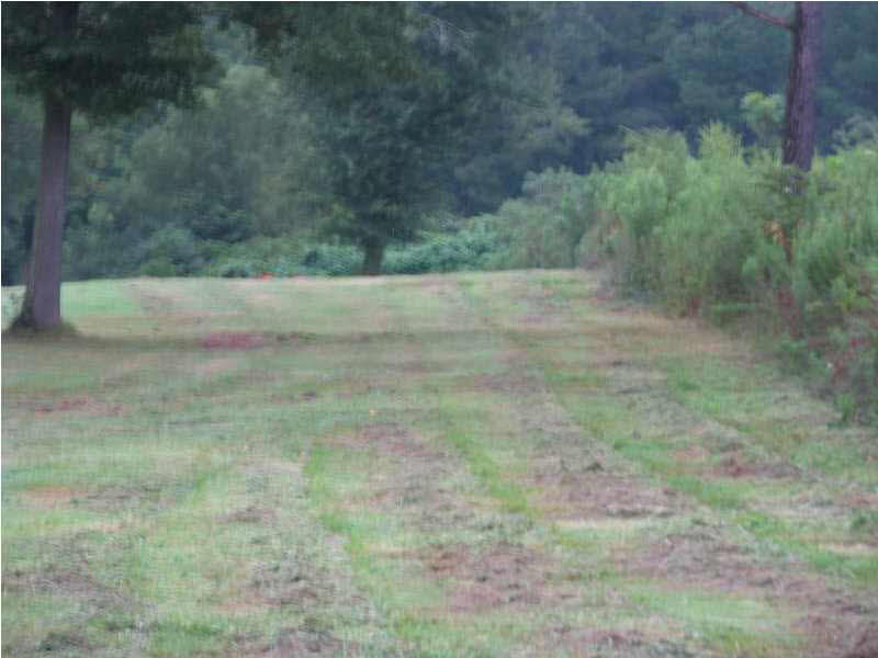 0 Cato Road Braxton, MS 39044 - Photo 14 of 14 Additional view of the land tract.