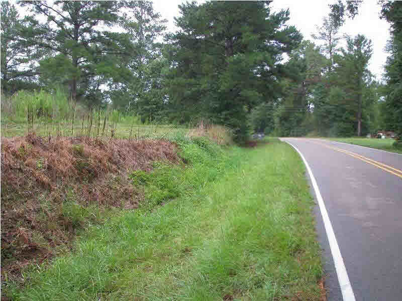 0 Cato Road Braxton, MS 39044 - Photo 7 of 14 Photo 7