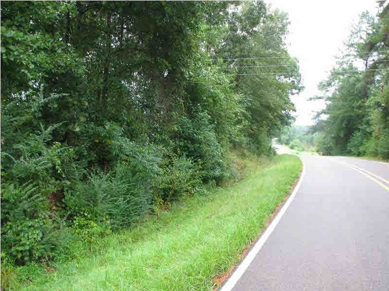 0 Cato Road Braxton, MS 39044 - Photo 8 of 14 Land view and road frontage.