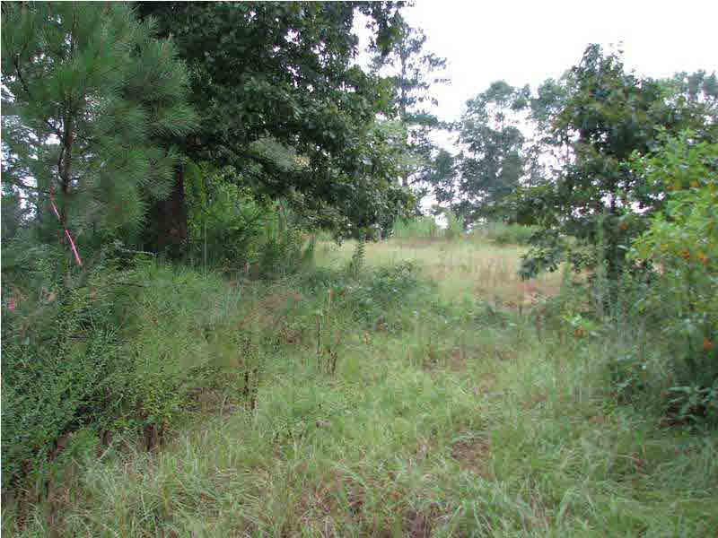 0 Cato Road Braxton, MS 39044 - Photo 10 of 14 Photo 10