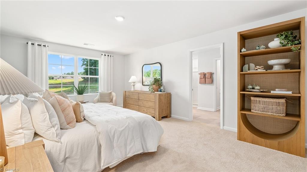 193 Pepper Tree Road Stokesdale, NC 27357 - Photo 23 of 33 *Photos are of model home and are for representational purposes only