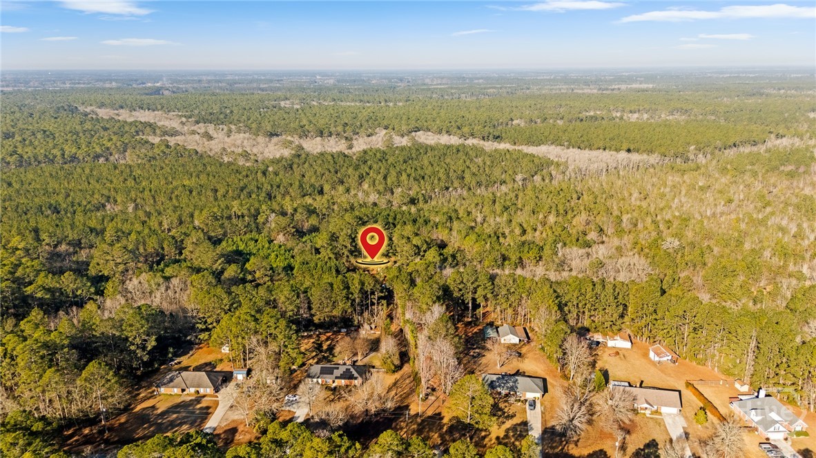 0 Stillwell Clyo Road Springfield, GA 31329 - Photo 16 of 20 Gallery Image 16