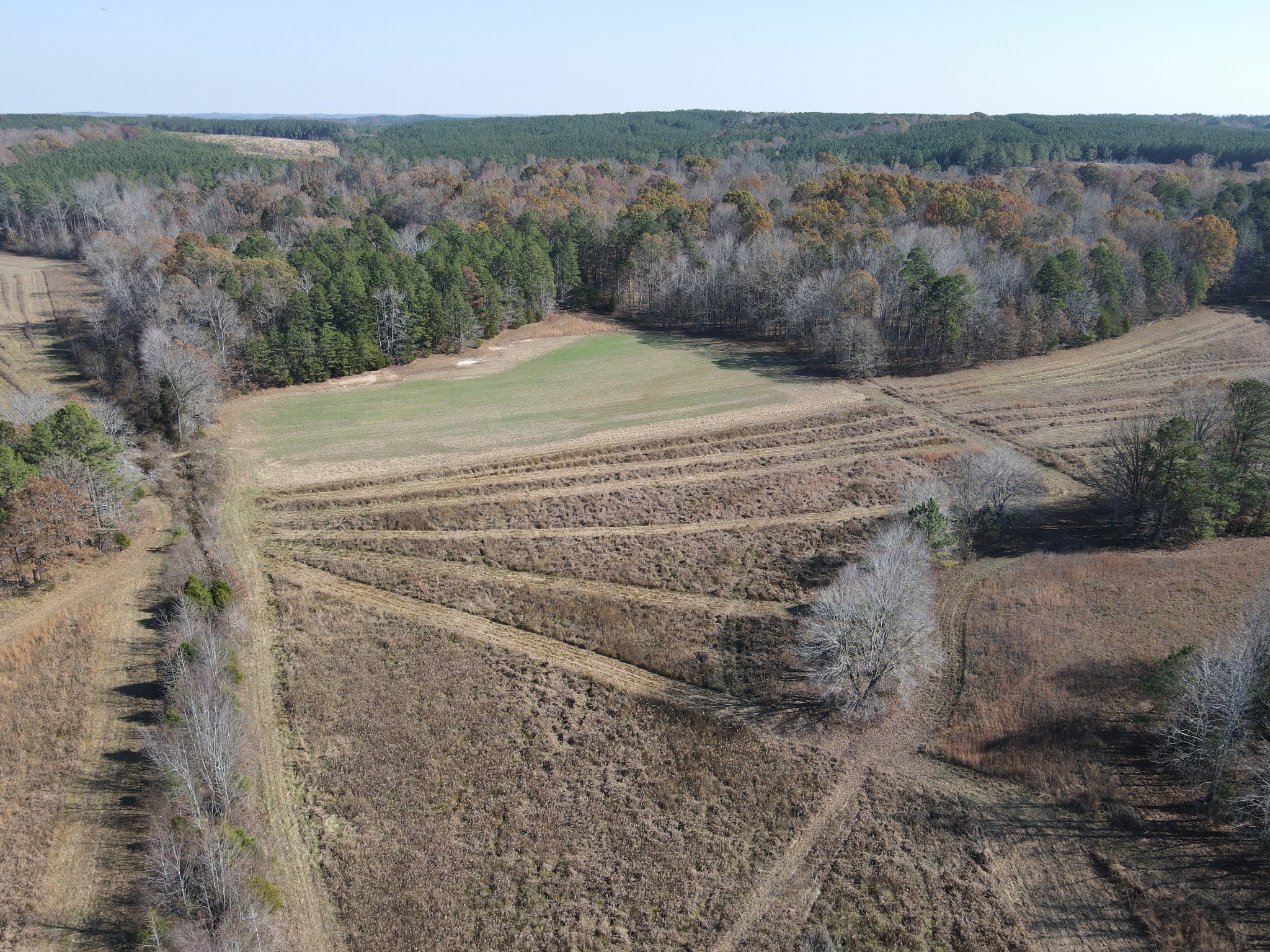 0 McEarl Road Huron, TN 38345 - Photo 1 of 39