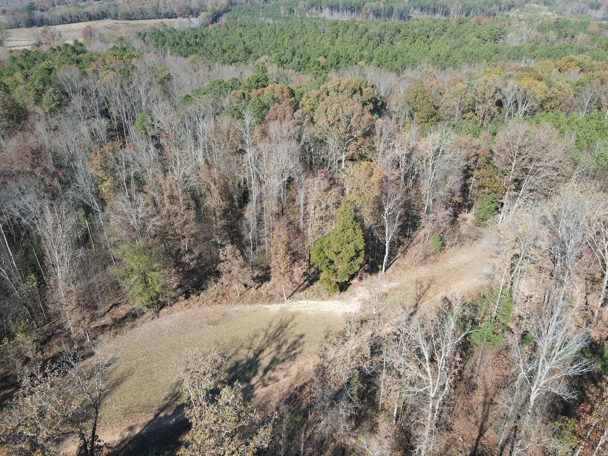 0 McEarl Road Huron, TN 38345 - Photo 11 of 39 a view of a dry yard with trees
