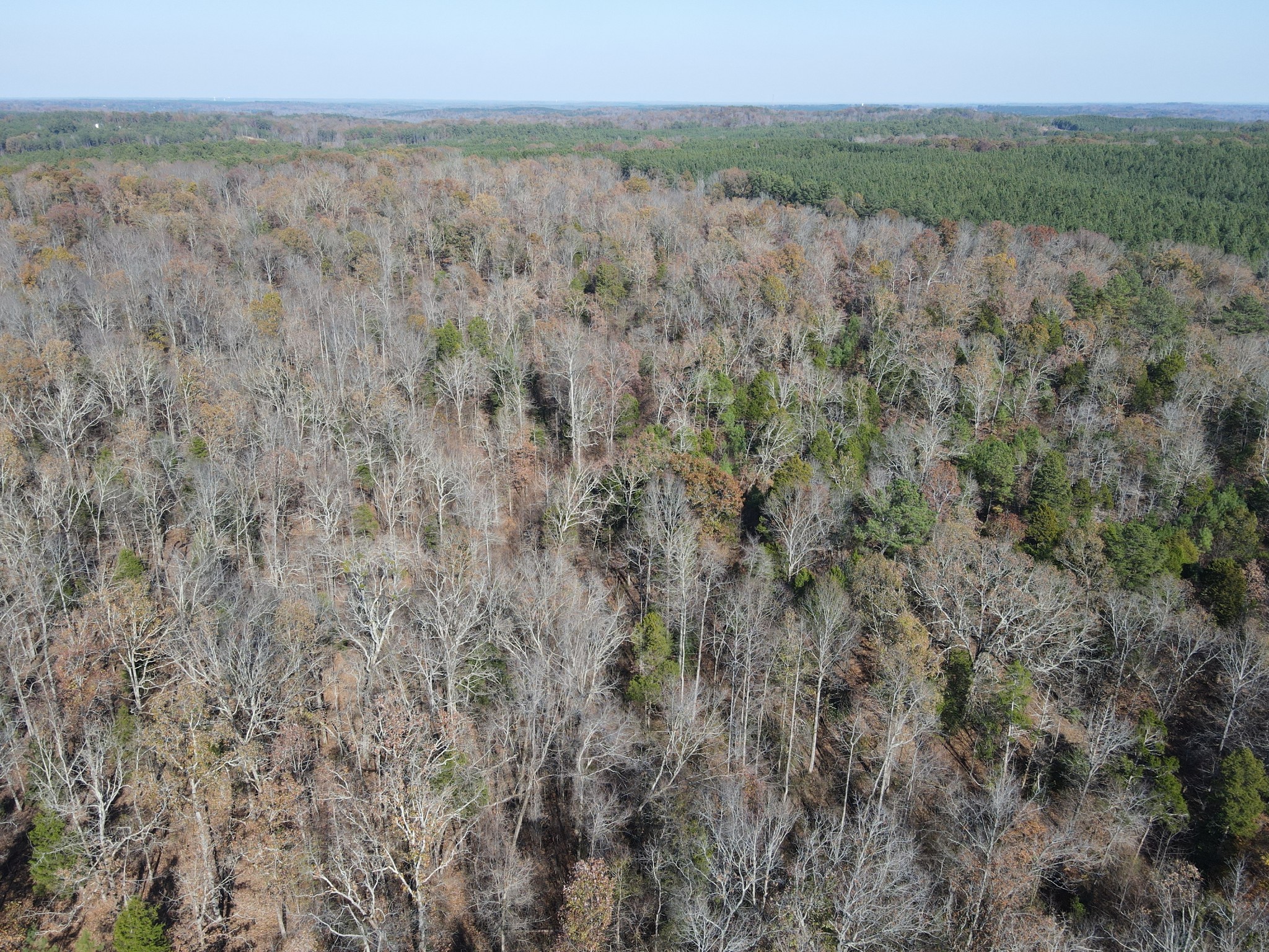 0 McEarl Road Huron, TN 38345 - Photo 12 of 39 a view of a forest with trees in the background
