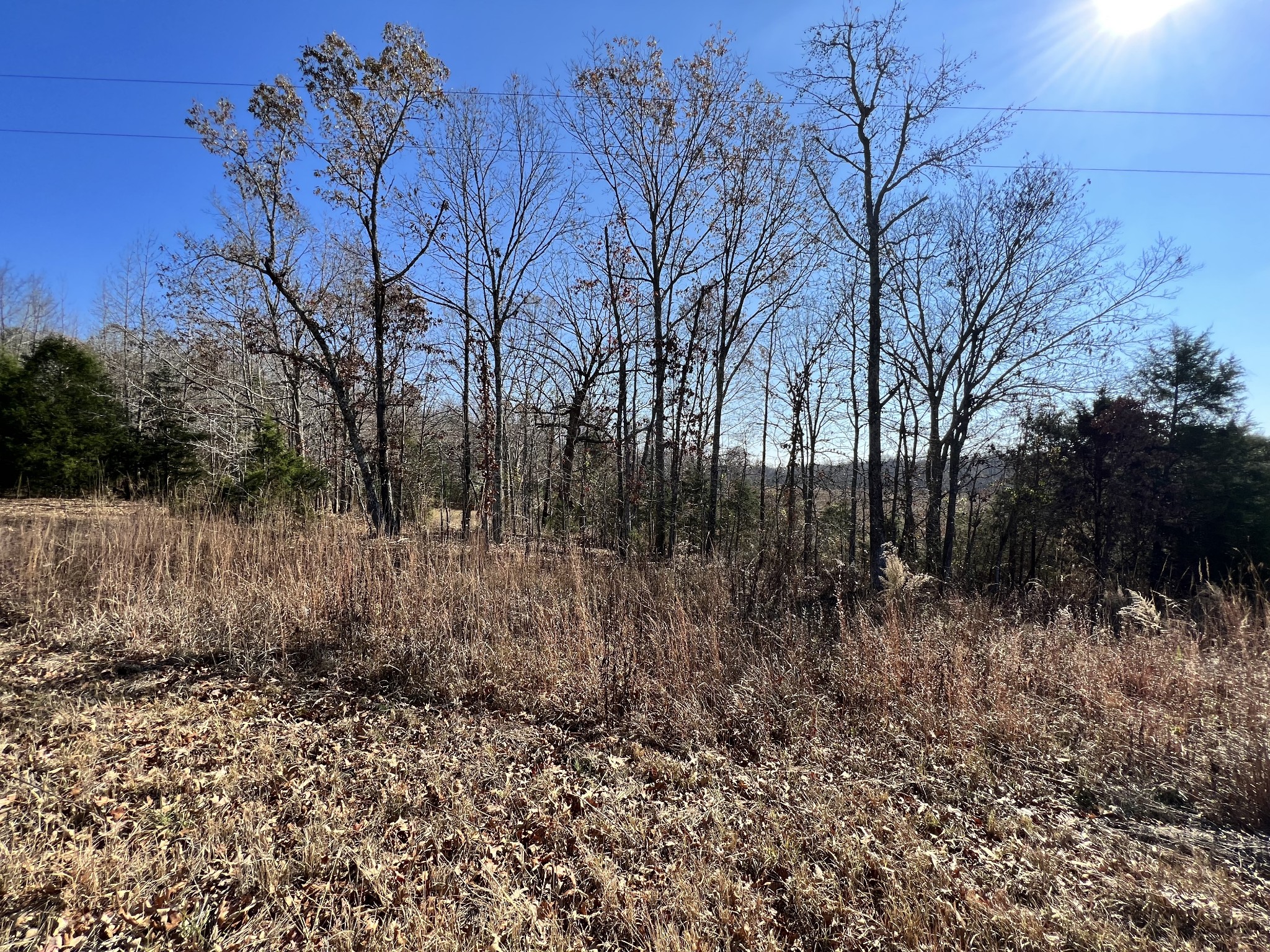 0 McEarl Road Huron, TN 38345 - Photo 17 of 39 a backyard of a house with lots of green space