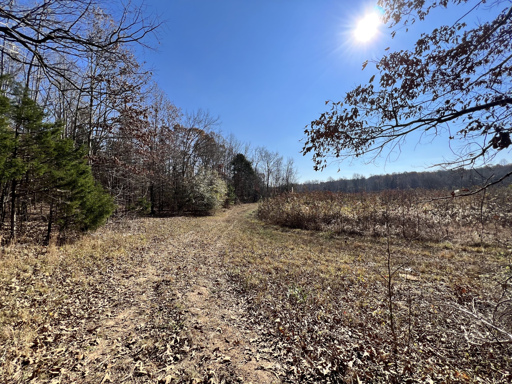0 McEarl Road Huron, TN 38345 - Photo 18 of 39 a view of outdoor space and yard