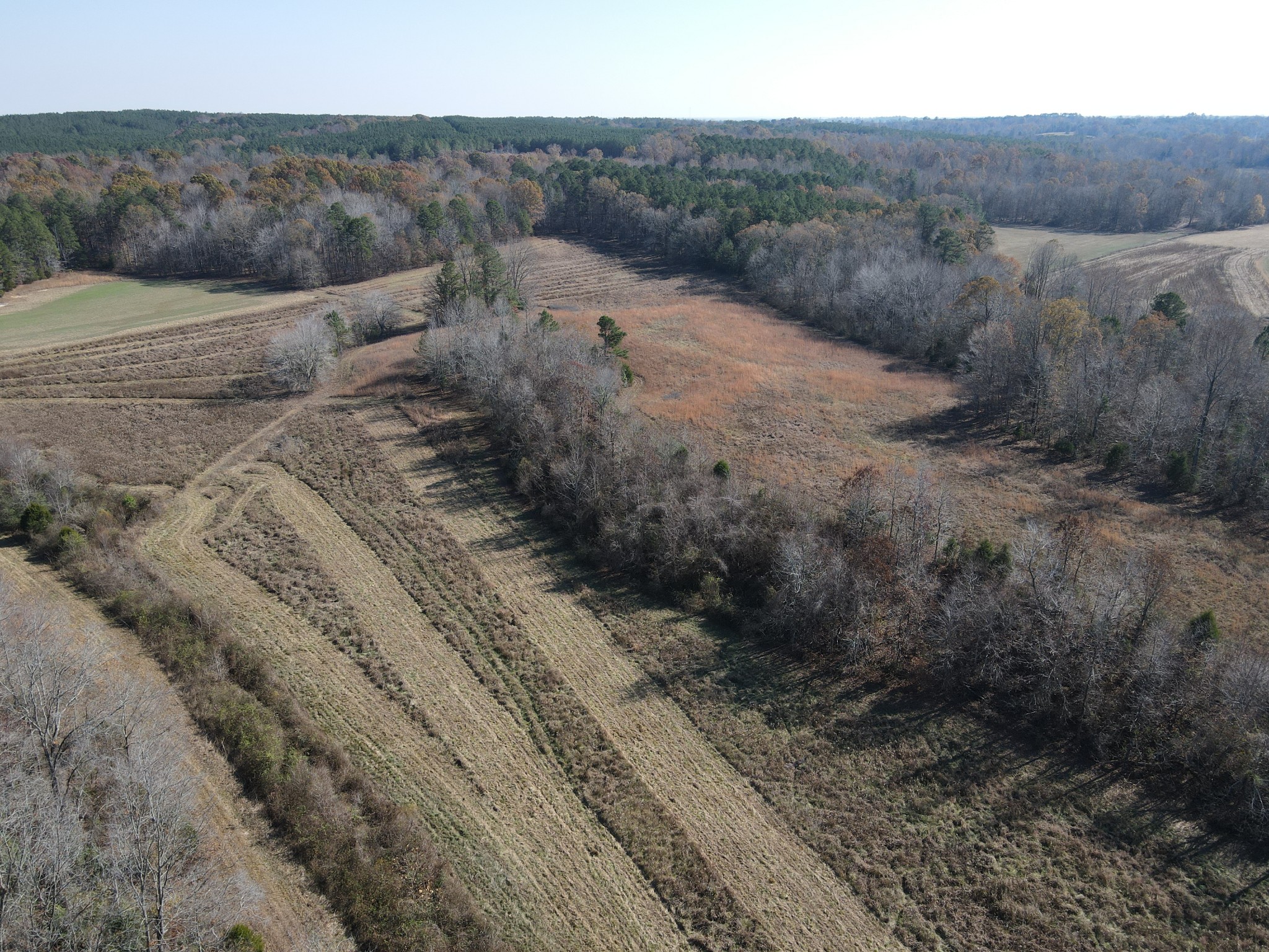 0 McEarl Road Huron, TN 38345 - Photo 2 of 39 a view of a dry yard with wooden fence