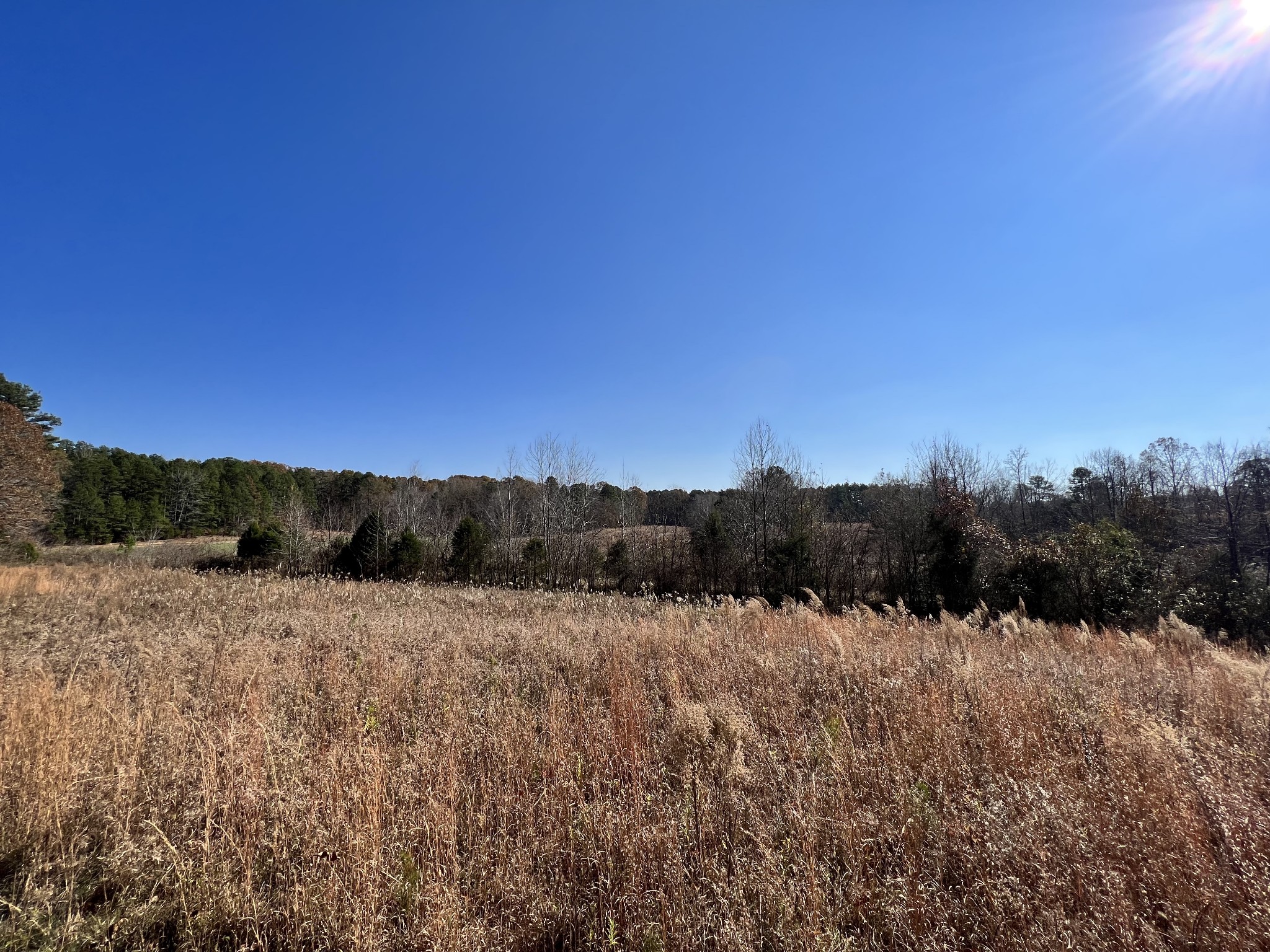 0 McEarl Road Huron, TN 38345 - Photo 22 of 39 a view of a dry yard with trees in the background