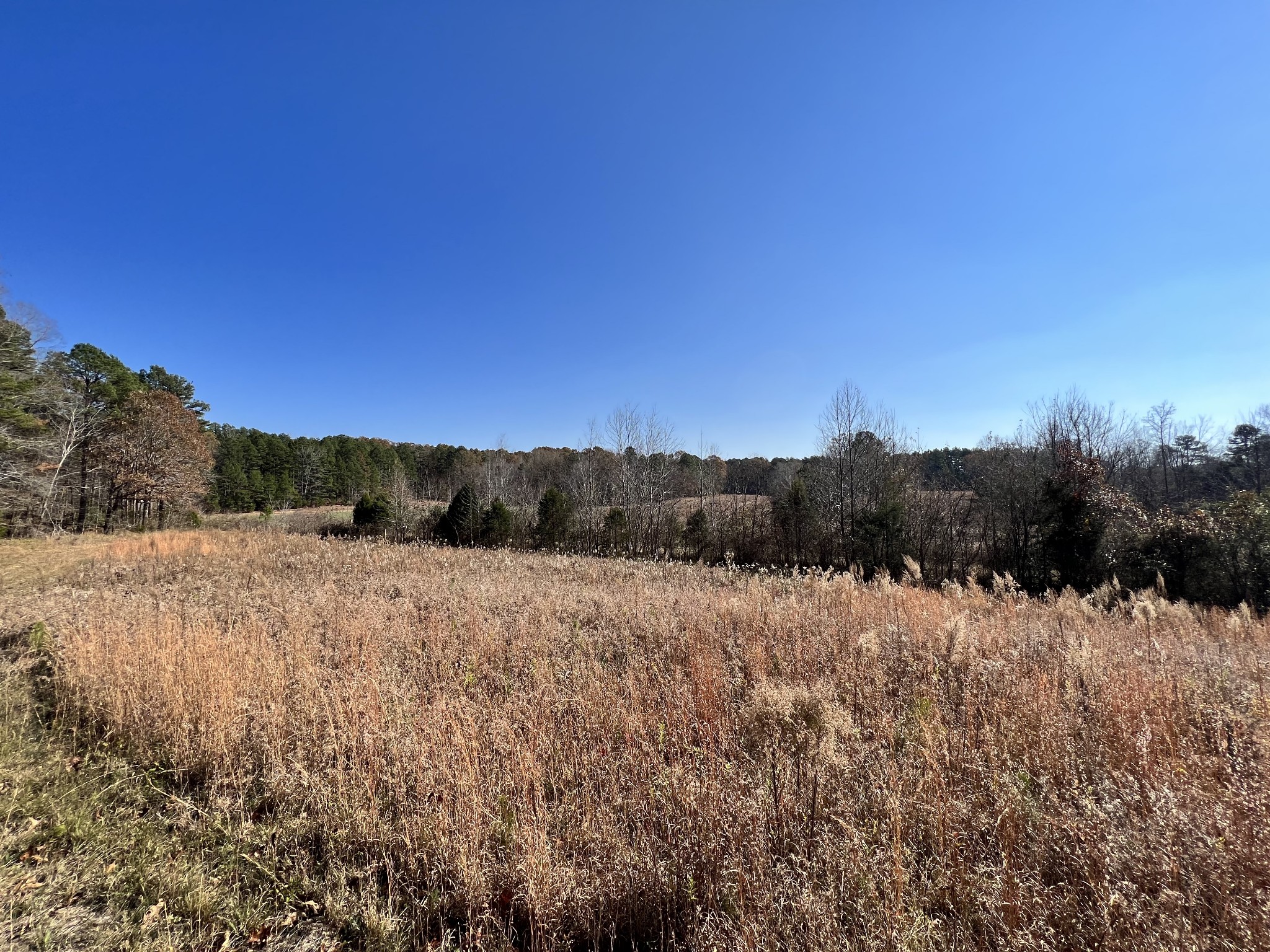0 McEarl Road Huron, TN 38345 - Photo 24 of 39 a view of an outdoor space and a yard