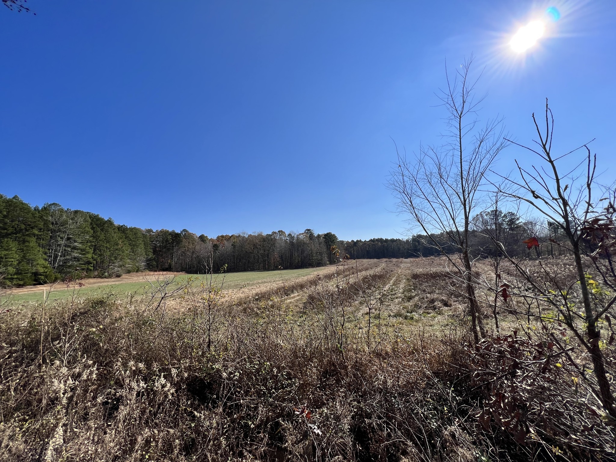 0 McEarl Road Huron, TN 38345 - Photo 25 of 39 a view of an outdoor space and a yard