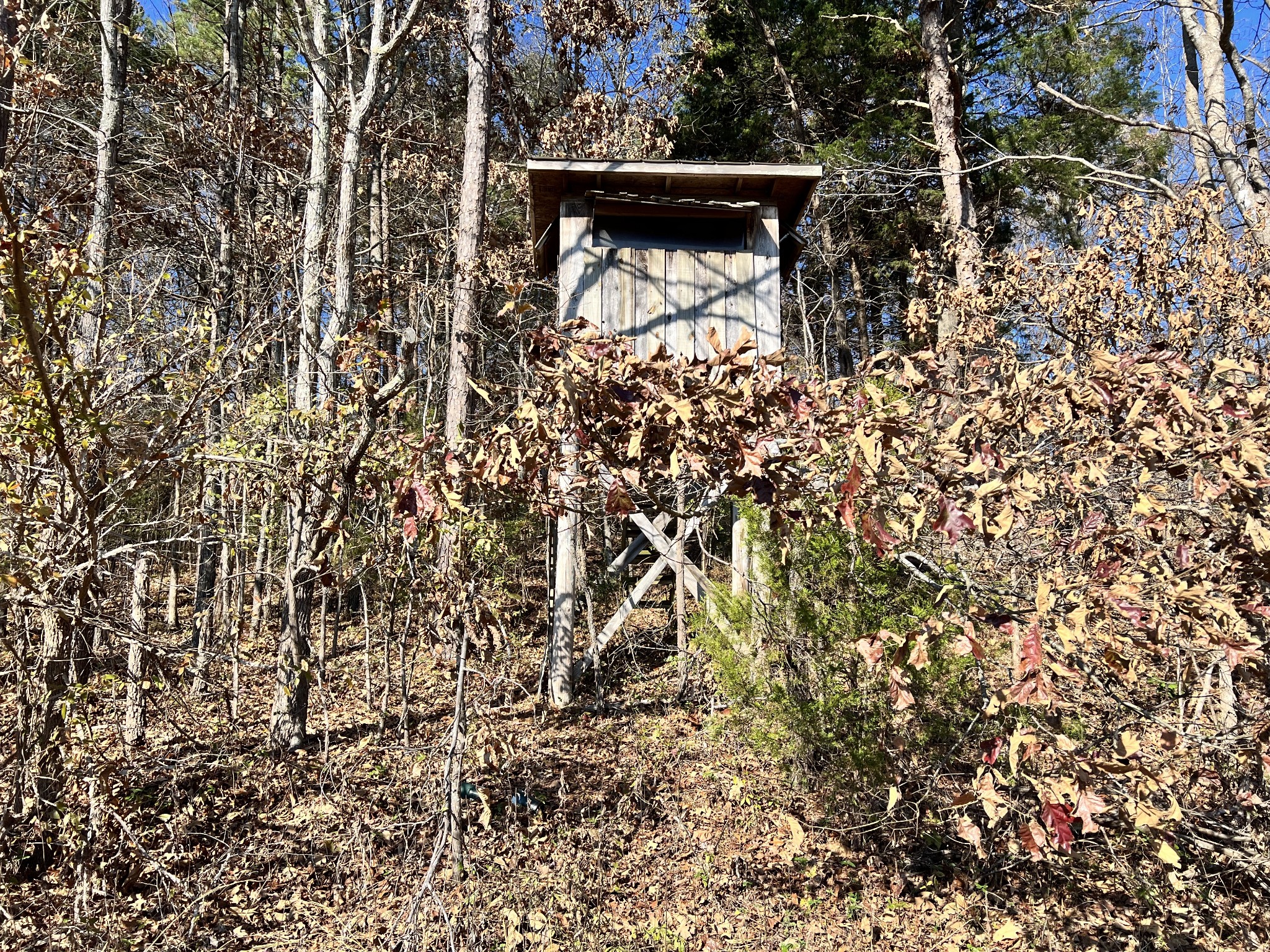 0 McEarl Road Huron, TN 38345 - Photo 27 of 39 unknown