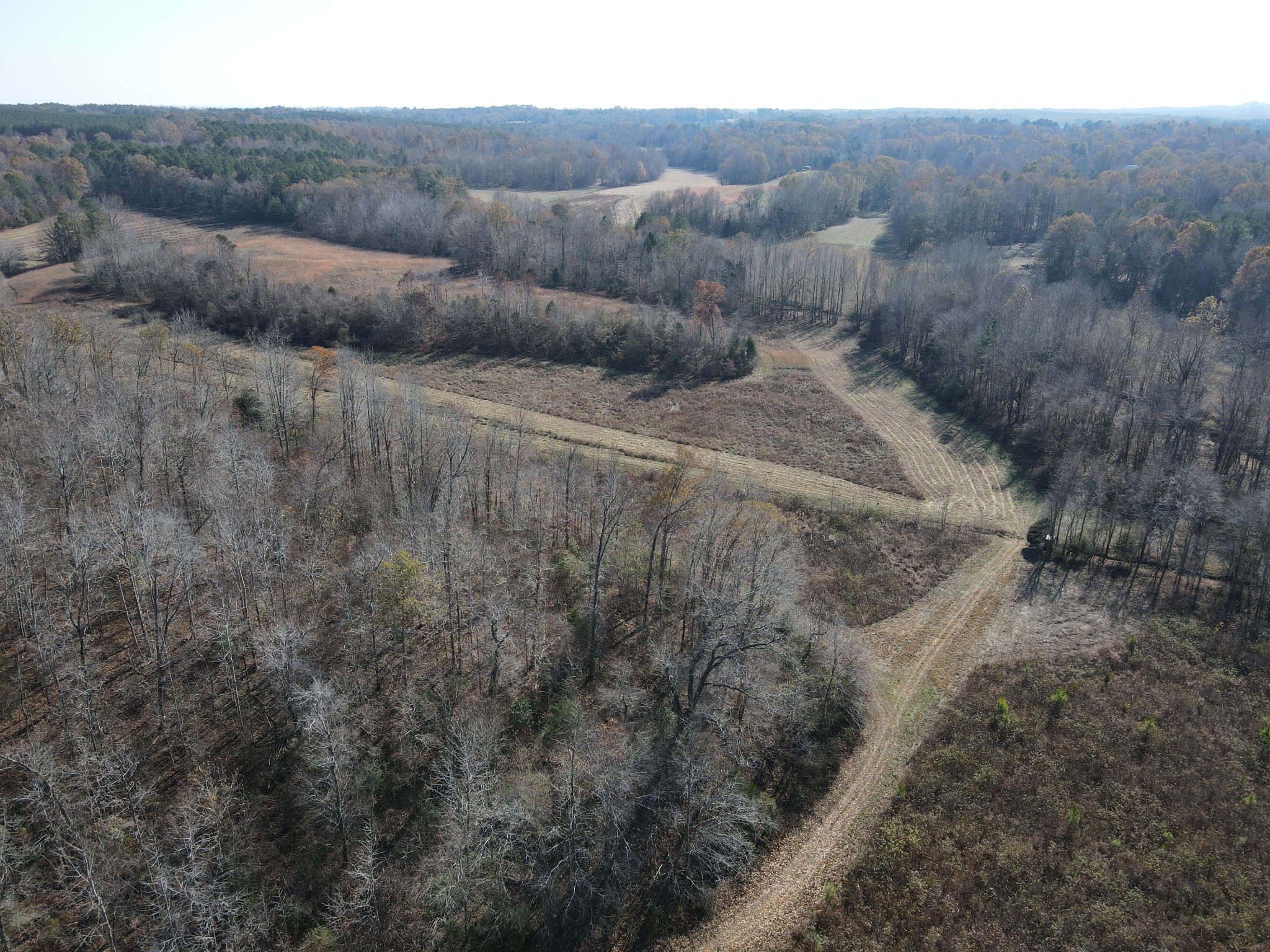 0 McEarl Road Huron, TN 38345 - Photo 3 of 39 a view of a dry yard with green space