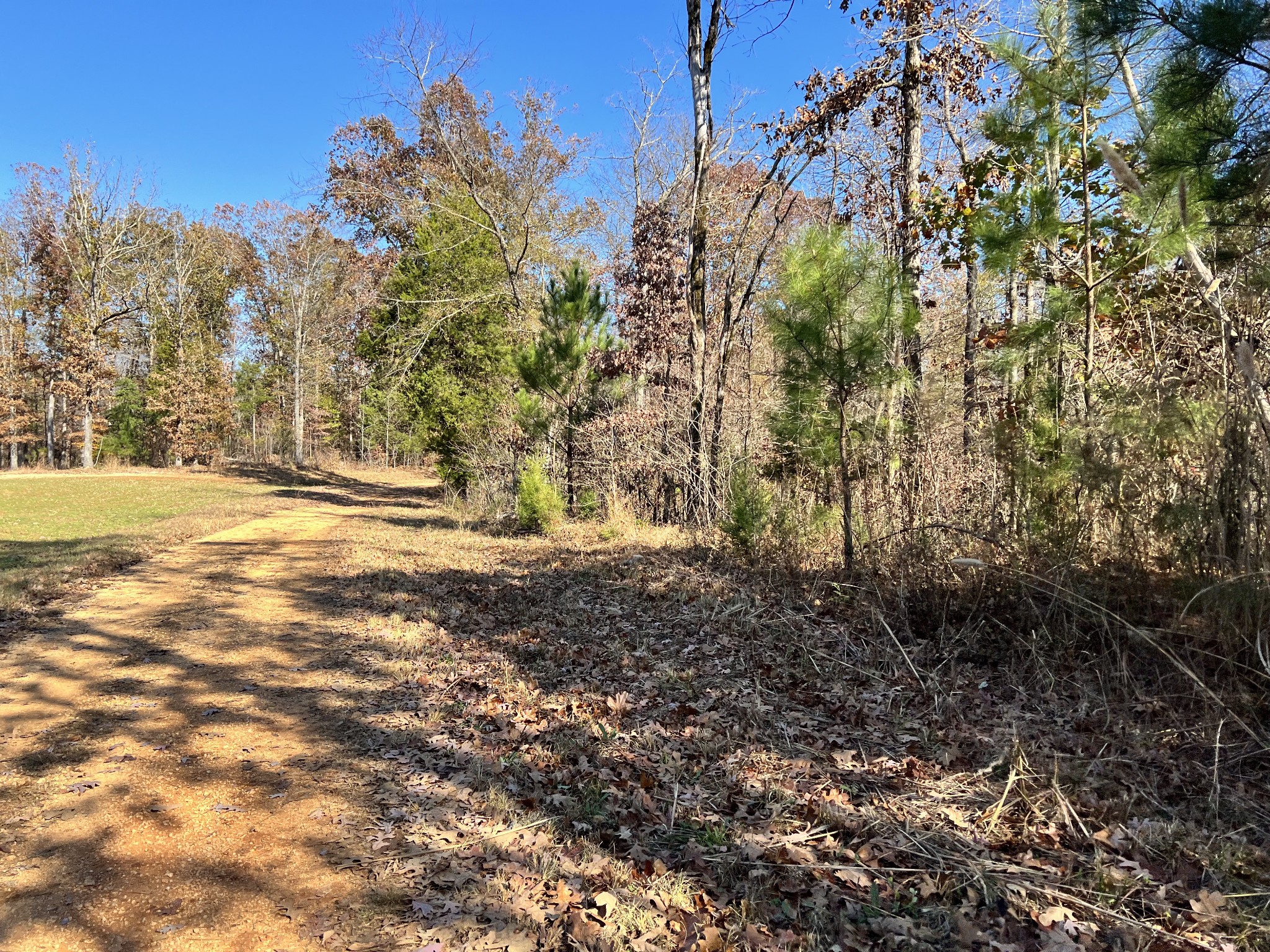 0 McEarl Road Huron, TN 38345 - Photo 33 of 39 a view of outdoor space and yard