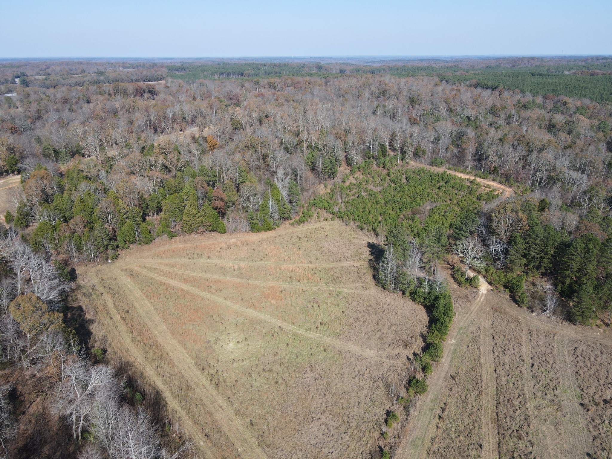 0 McEarl Road Huron, TN 38345 - Photo 4 of 39 a view of a dry yard with green space