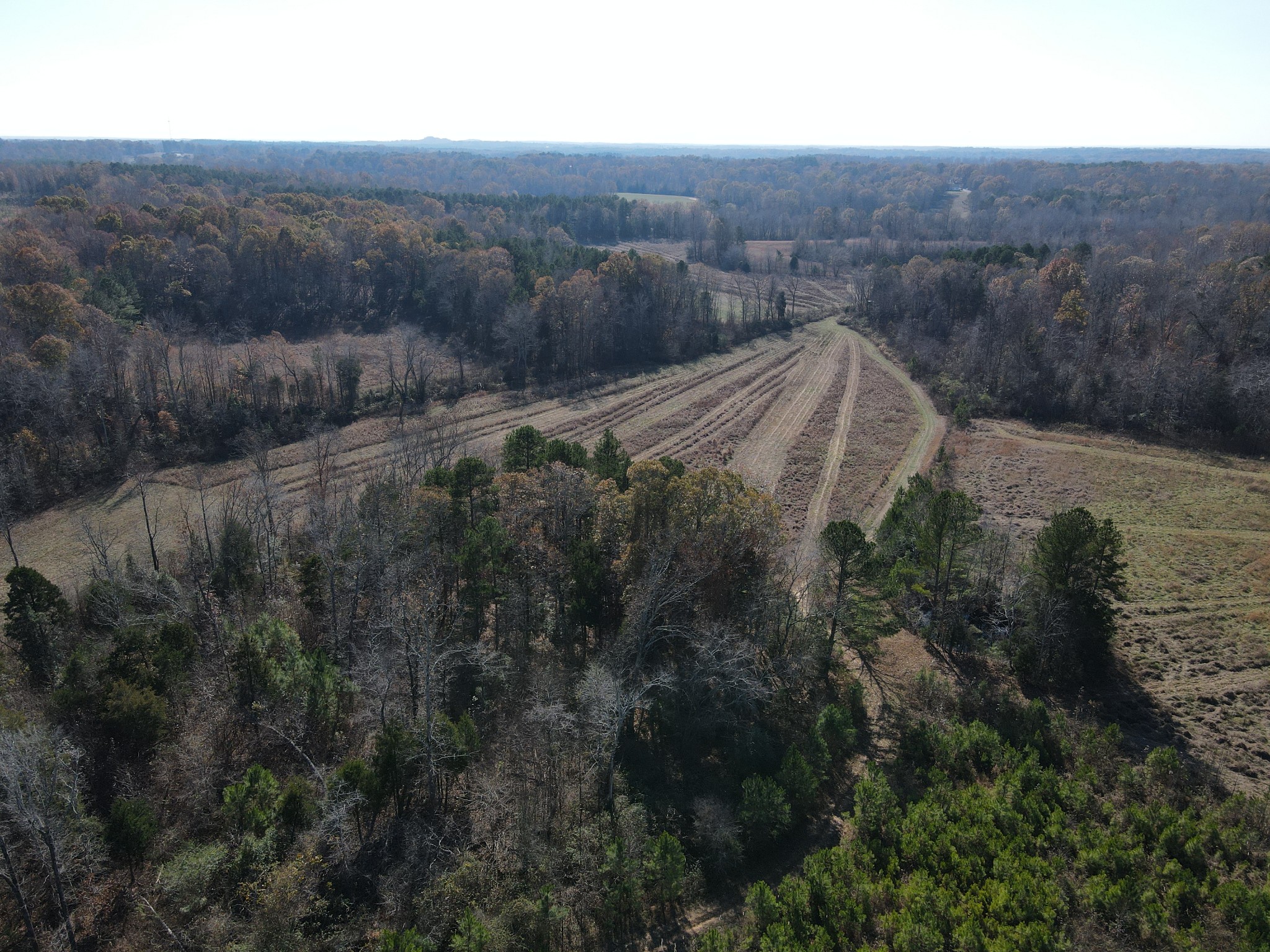 0 McEarl Road Huron, TN 38345 - Photo 5 of 39
