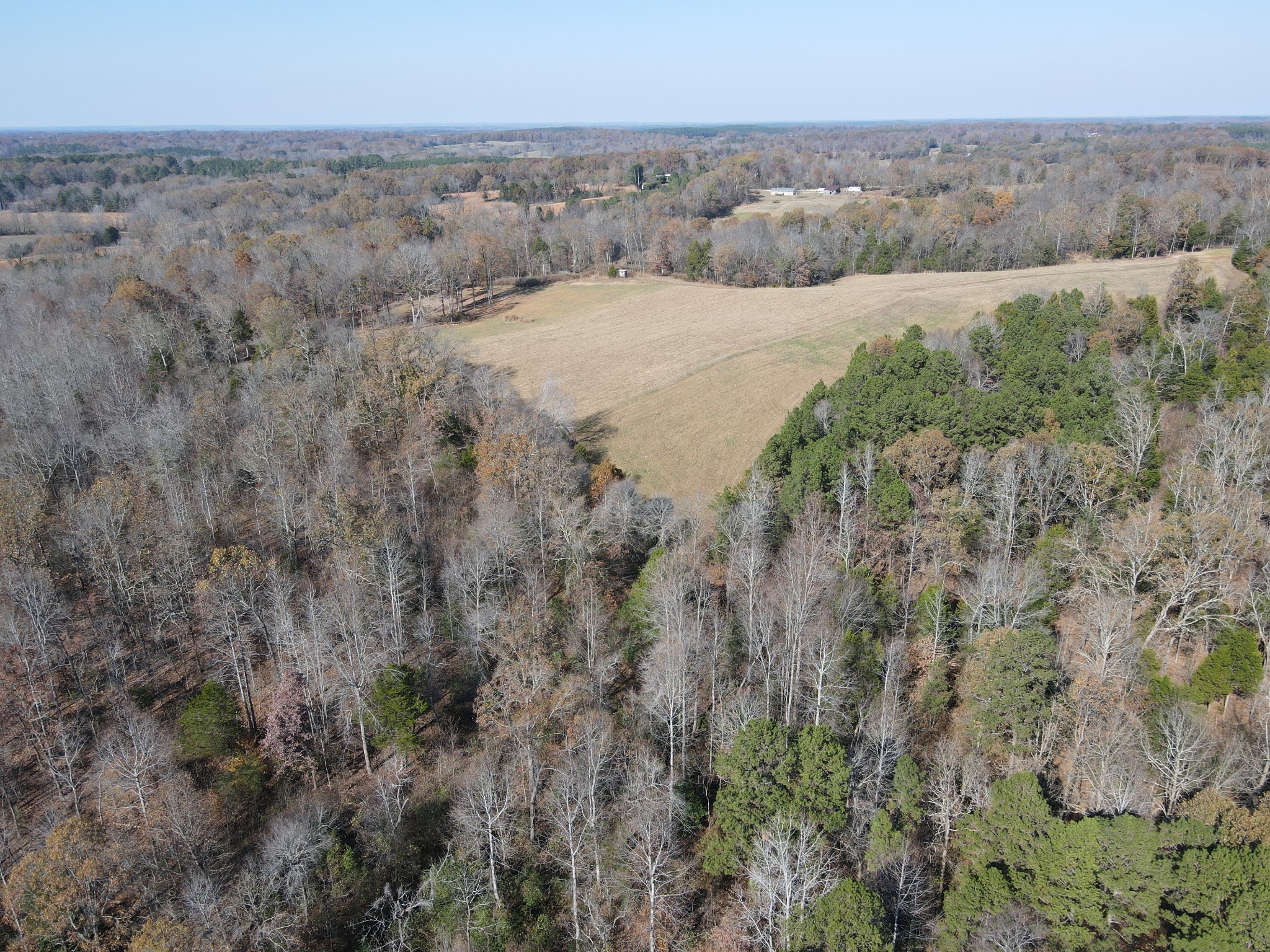 0 McEarl Road Huron, TN 38345 - Photo 6 of 39 a view of a dry yard