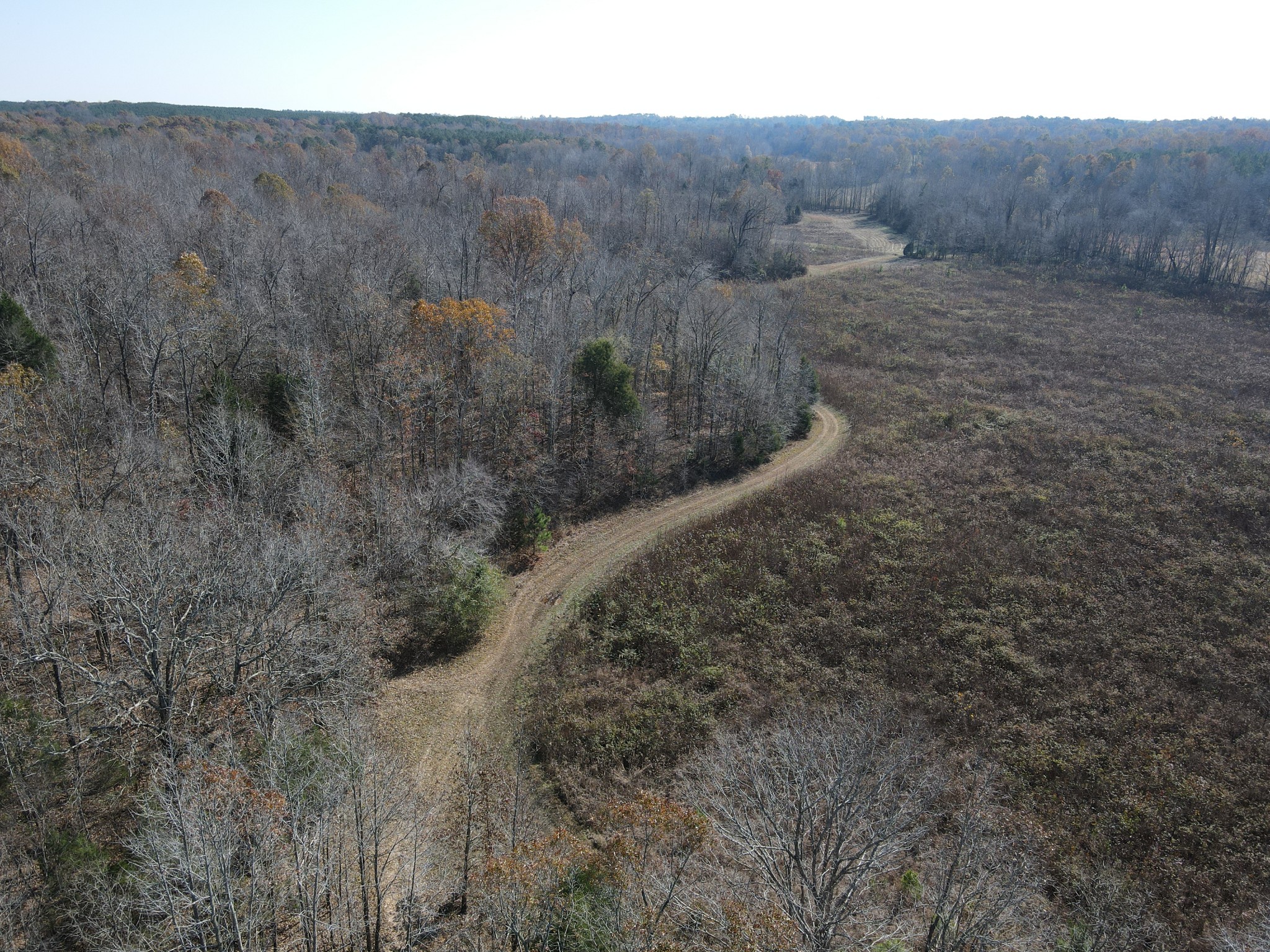 0 McEarl Road Huron, TN 38345 - Photo 8 of 39 a view of a dry yard with green space