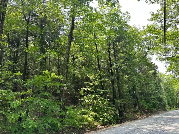 $115,000 | Lot 20 Dyke Mountain Road, Sebago, ME 04029