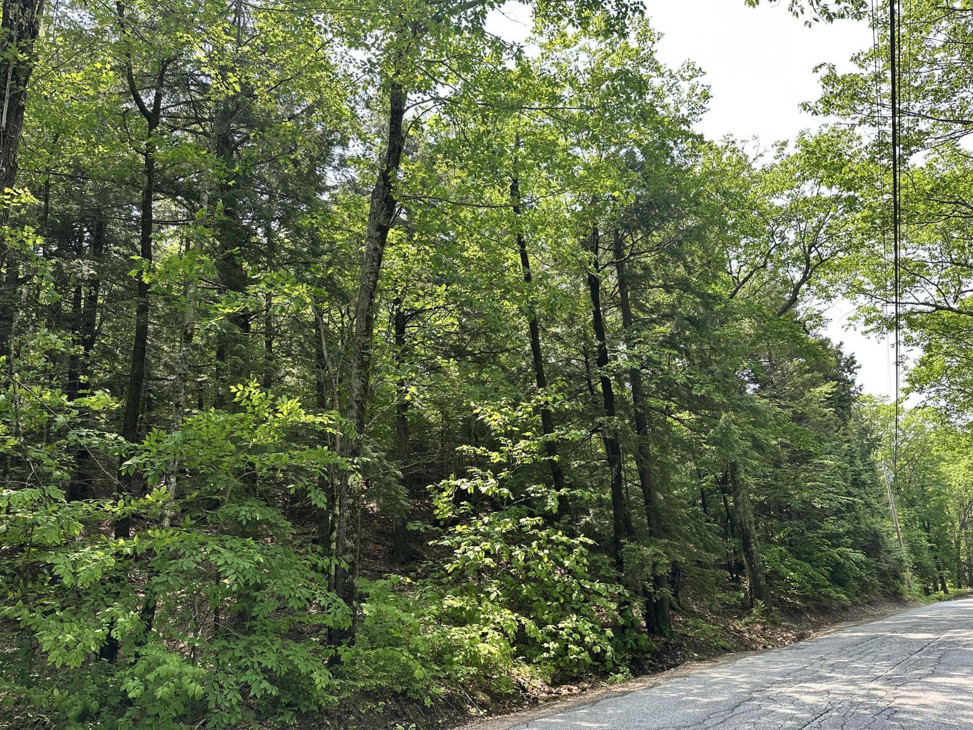 Lot 20 Dyke Mountain Road Sebago, ME 04029 - Photo 2 of 6 IMG_2413